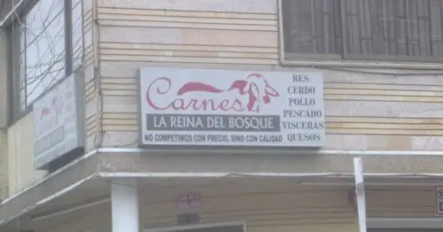 CARNES FINAS LA REINA DEL BOSQUE CARNES FINAS LA REINA DEL BOSQUE